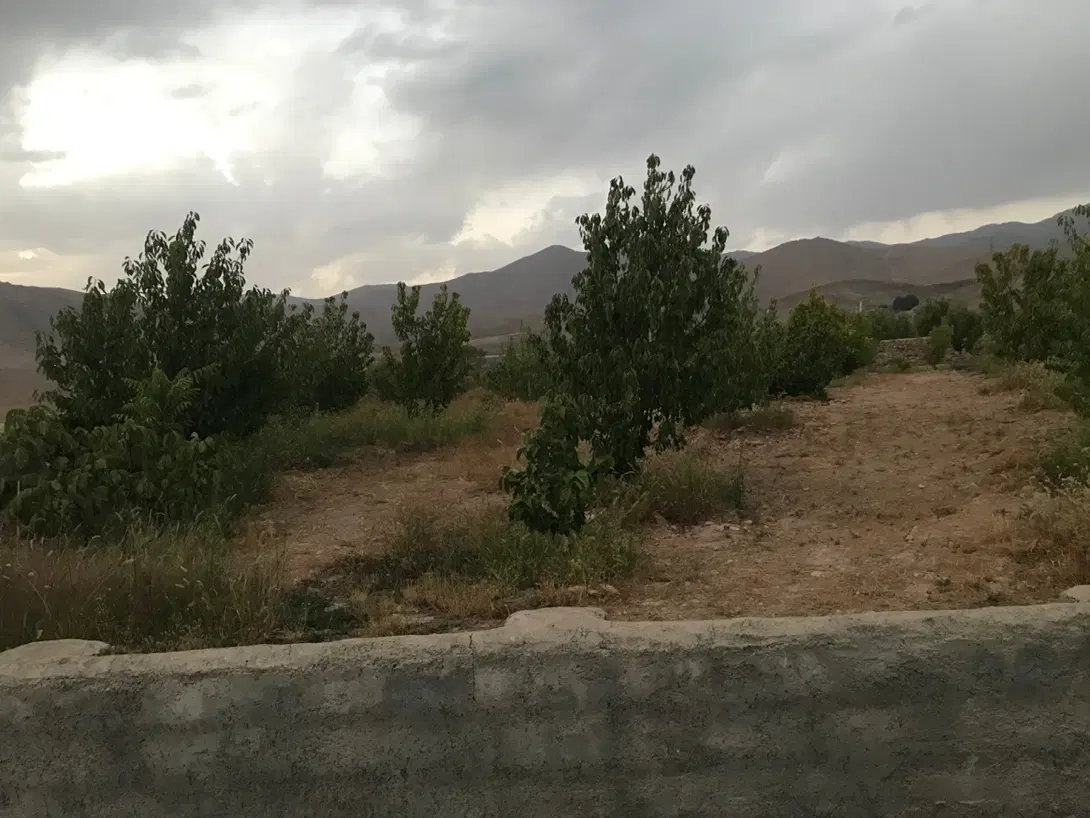 فروش باغچه 4 دیواری
