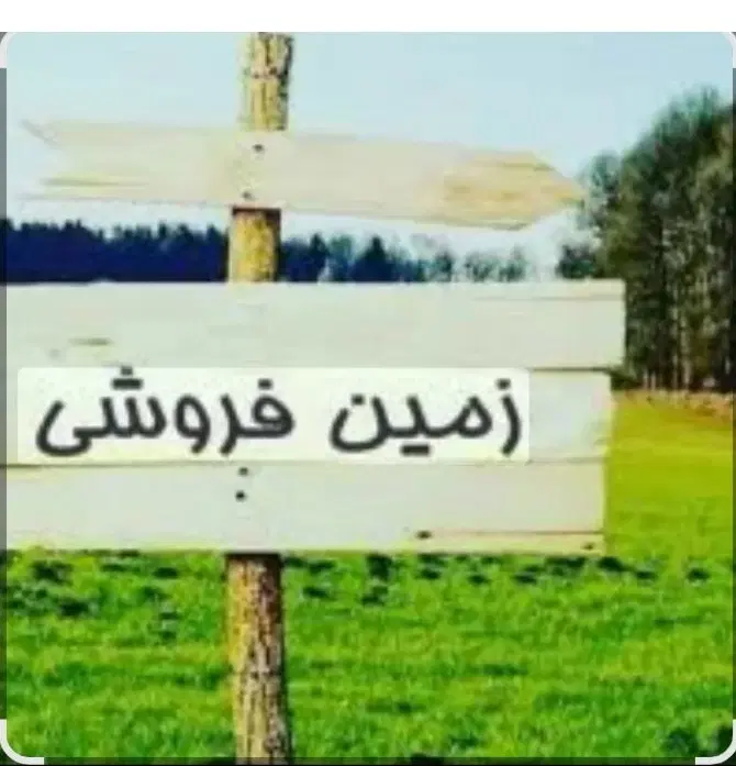زمین تجاری