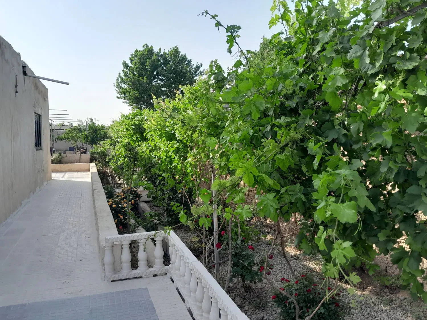 فروش باغ در شهرک صنعتی