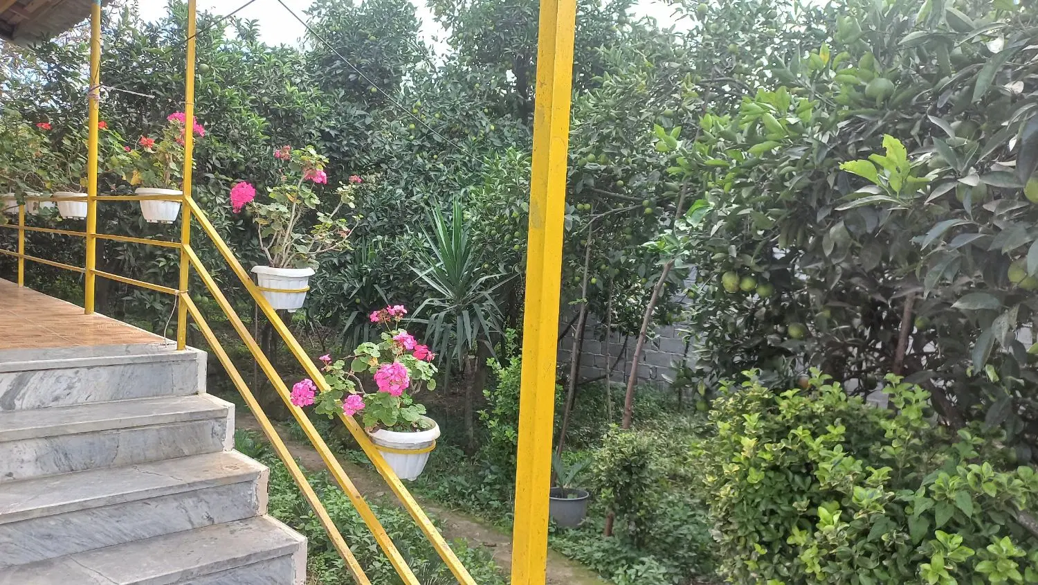 اجاره ویلای لوکس