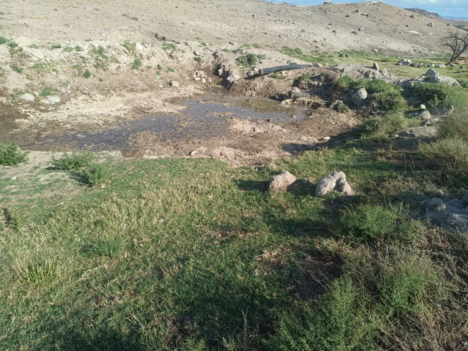زمین کشاورزی واقع در روستای چپقان روبروی فخر آباد