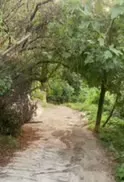 زمین ۳۰۰ متری ارتفاعات شمال شهر لنگرود