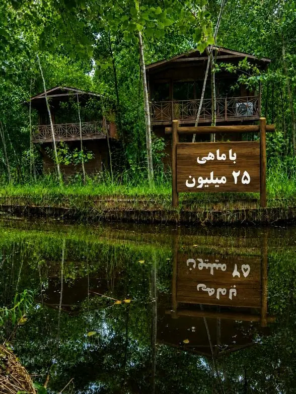 یه بازدید هزار دلیل برای خرید