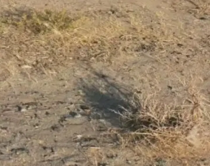 زمین