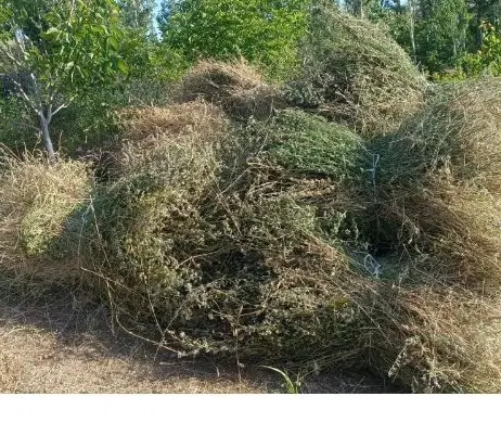 زمین مسکونی