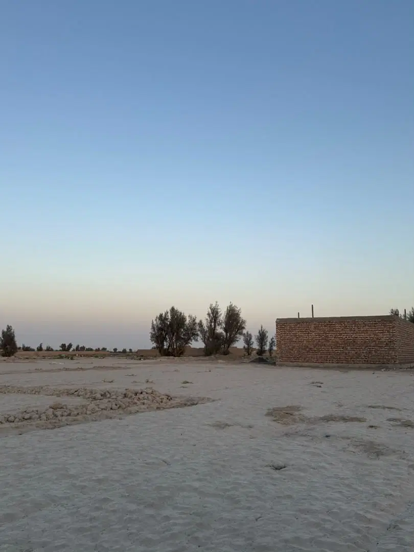 زمین