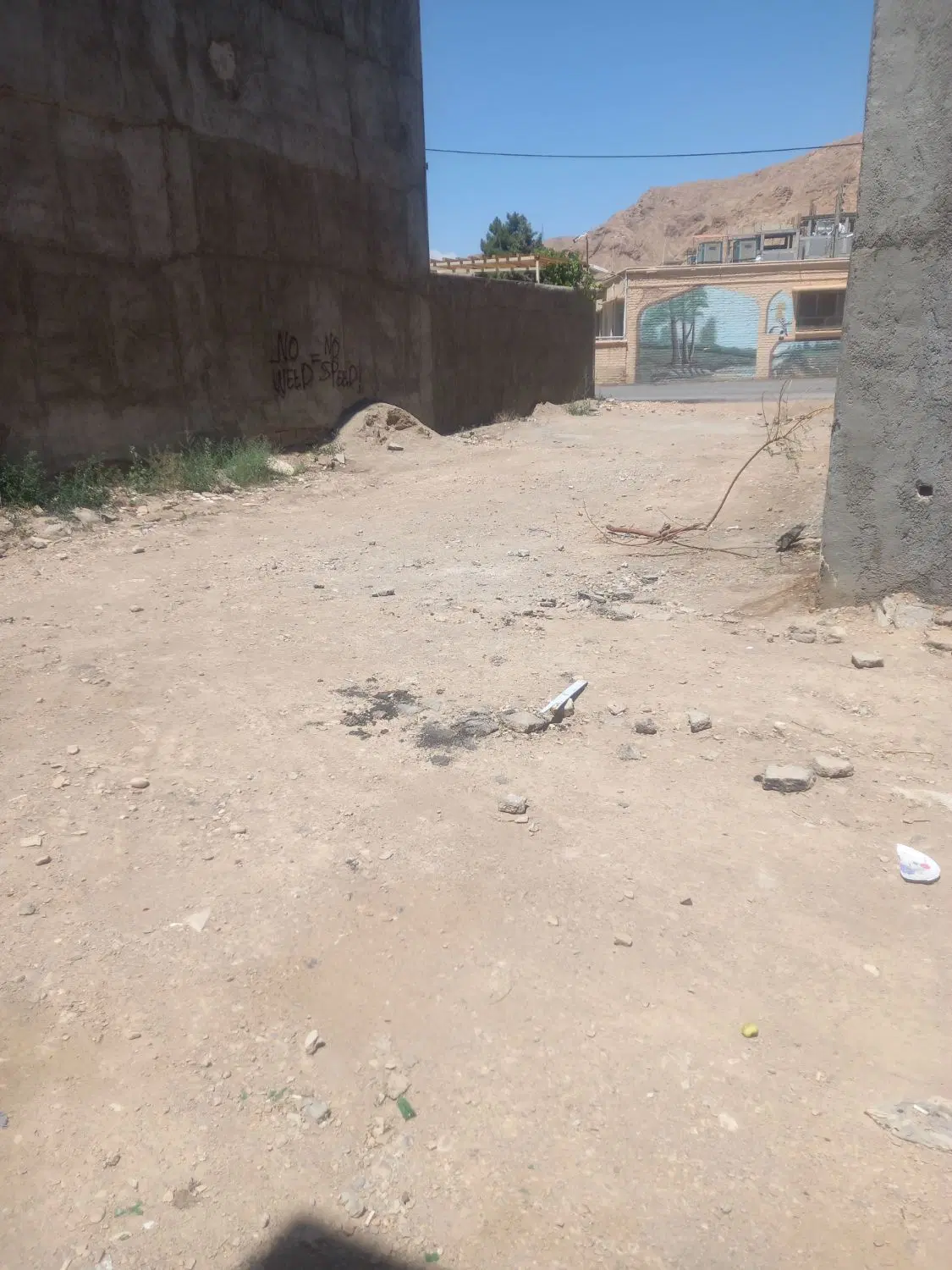 فروش حیاط ویلایی نادر دانشجو