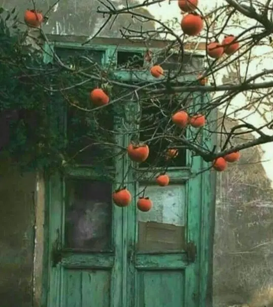 خانه اجاره ای