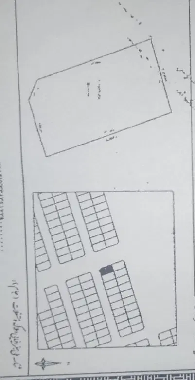زمین فرزندآوری