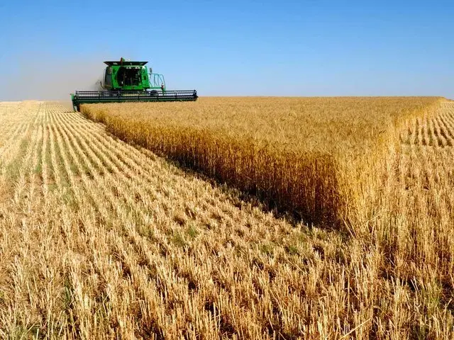 فروش ۶هکتار زمین کشاورزی