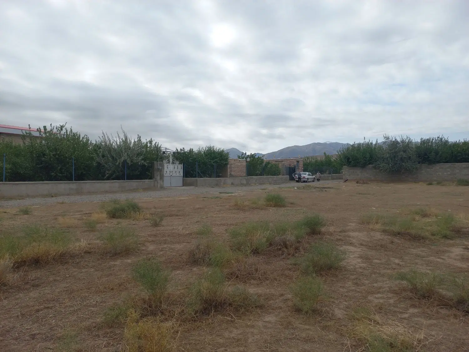 زمین کشاورزی