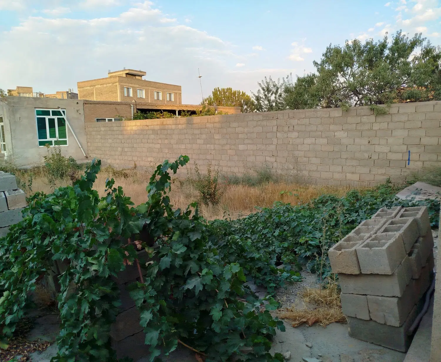 زمین مسکونی