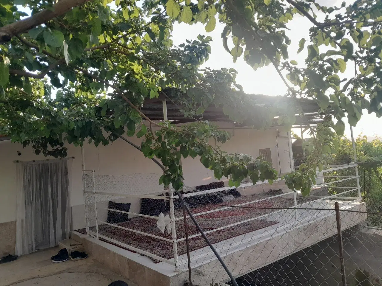 فروش باغ چهارهکتاری درکردستان سنندج