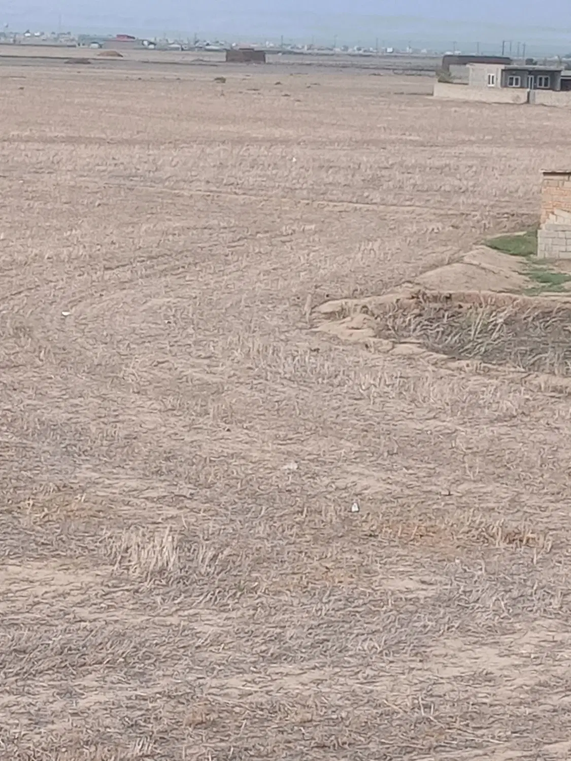 زمین کشاورزی نزدیک روستای عطار