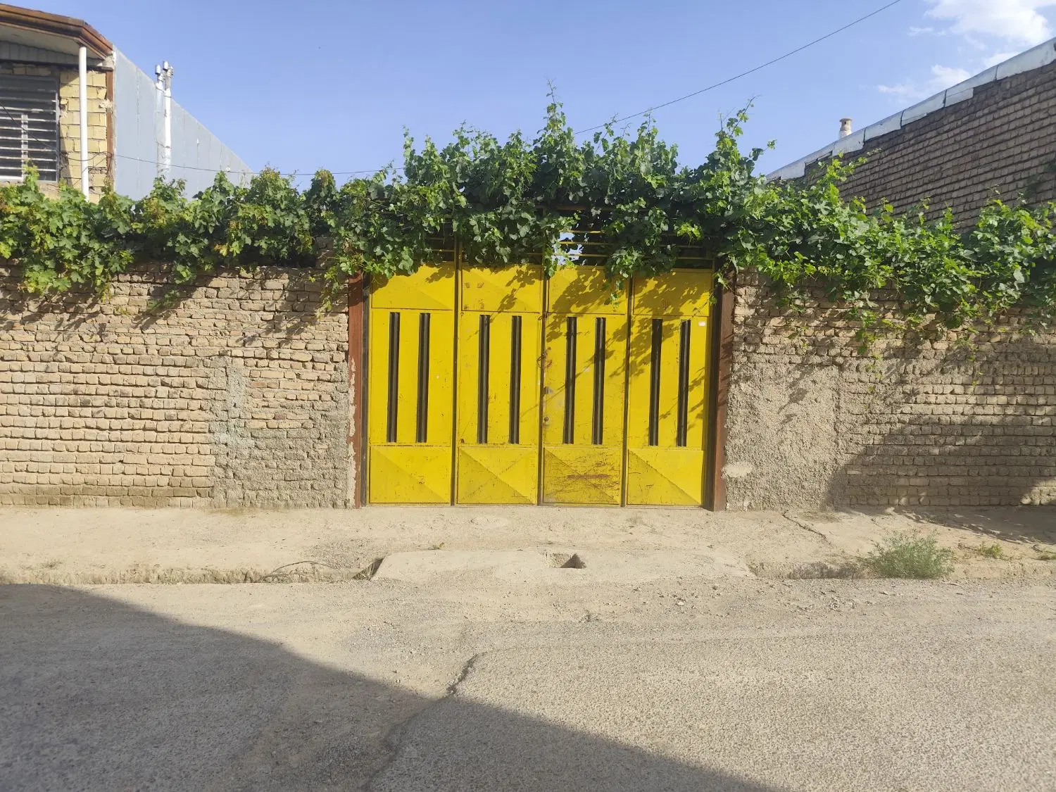 زمین