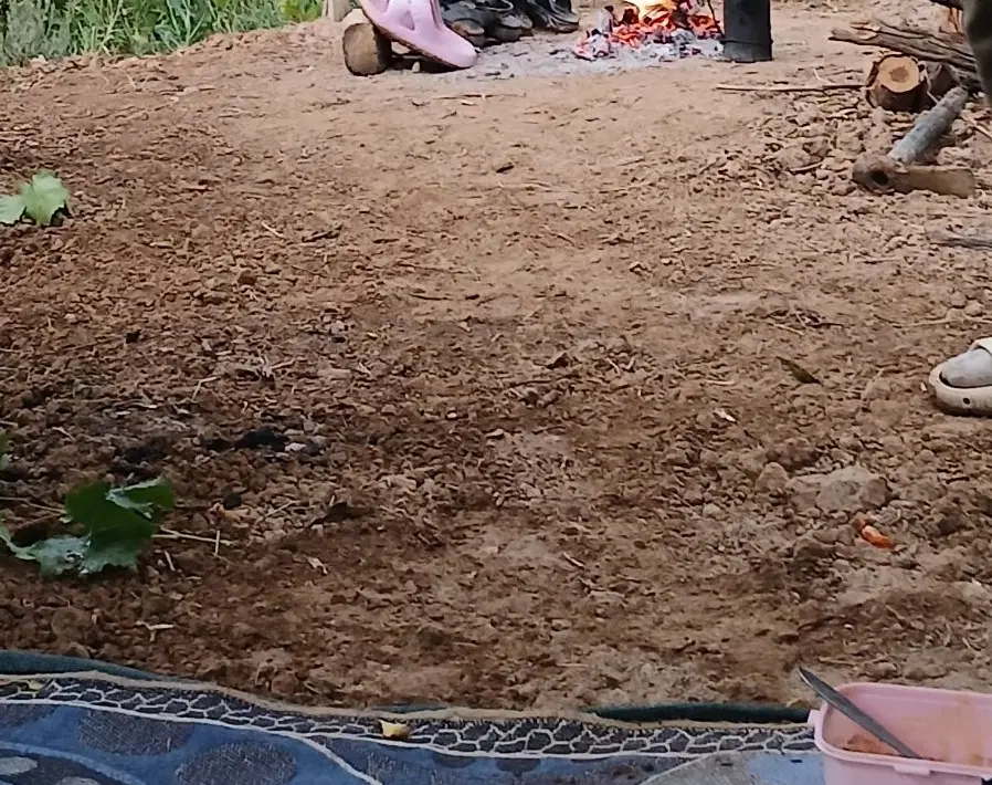 باغچه تفریحی