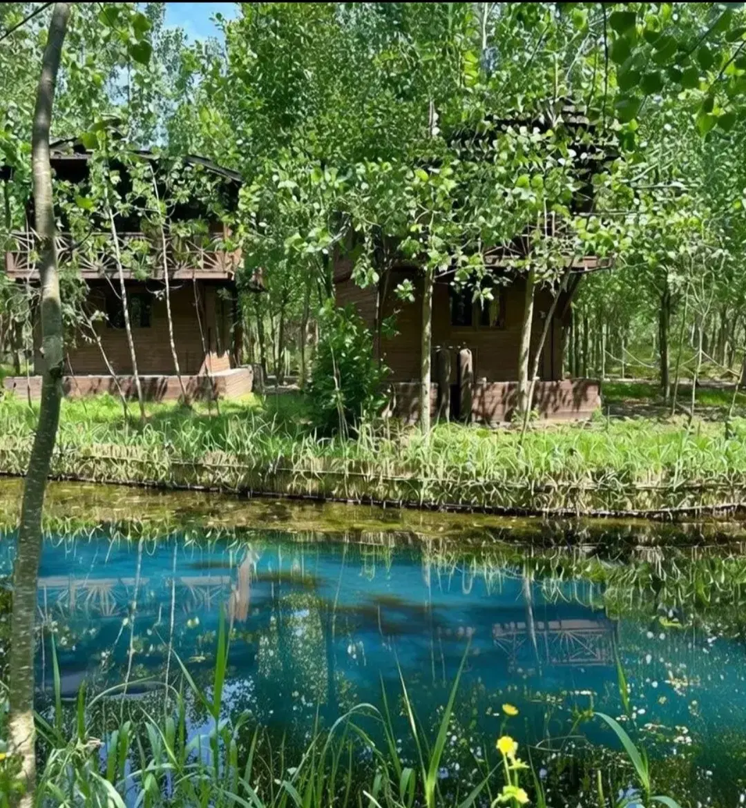 زیبایی ها در تک پروژه ایران