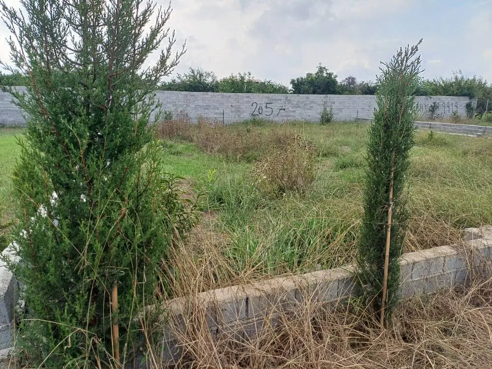 زمین ۳۵۰ متری قابل ساخت گلخونه