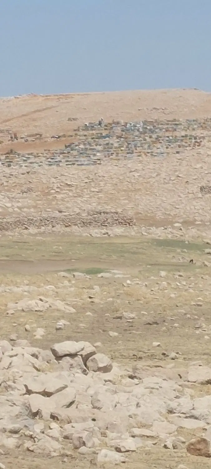 زمین مسکونی