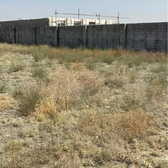 شاهنامه_زمین سند دار_مجوز ساخت