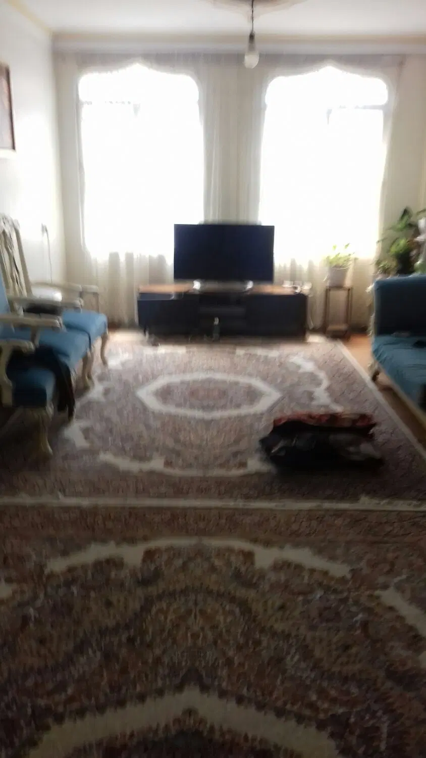 اجاره آپارتمان یک خوابه با انباری و پارگ طبقه دو