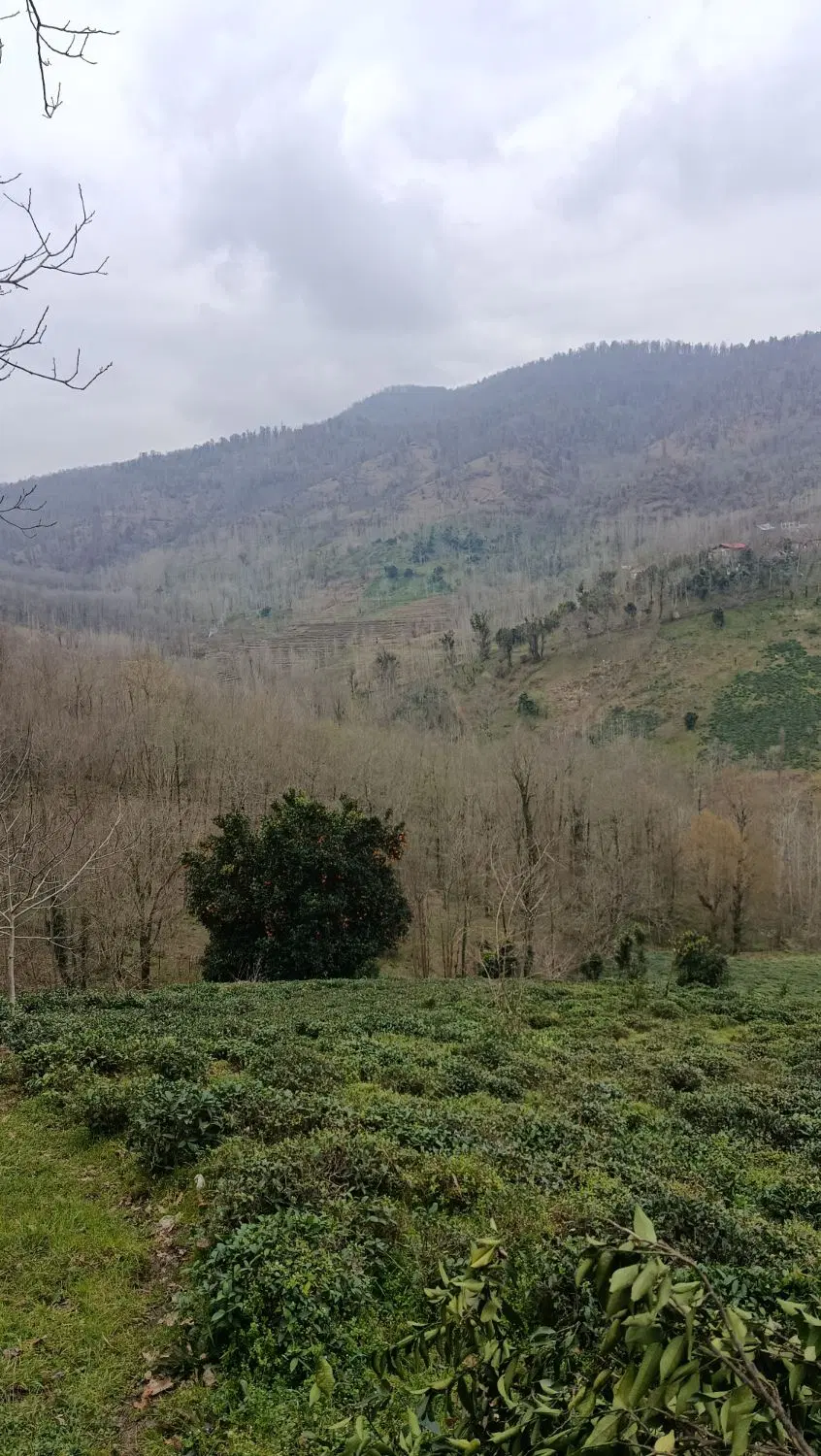 فروش خانه کاهگلی 80متری