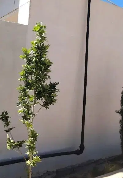 اجاره سوییت سر خیابان اصلی بلوار ملت