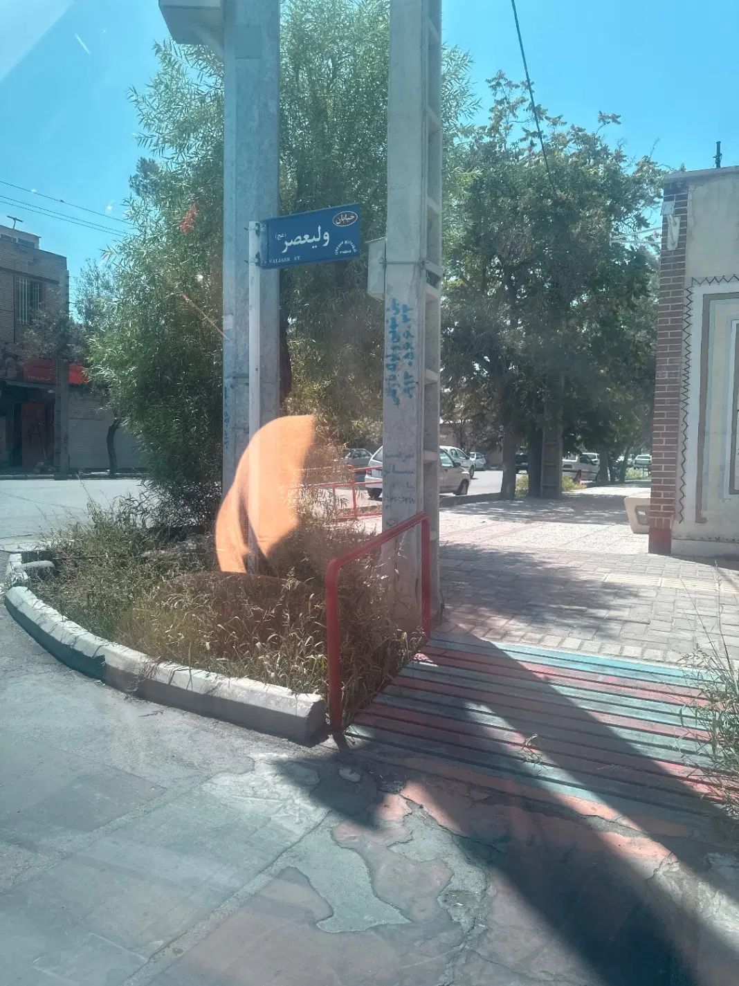 فروش زمین خوش عرض حجت آباد