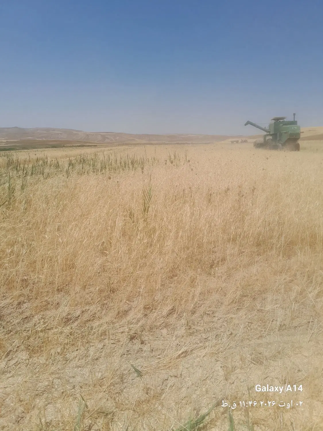زمین کشاورزی