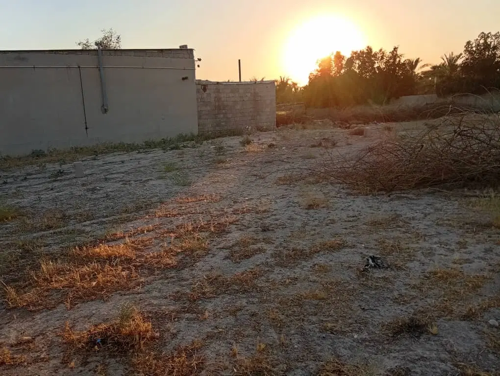 زمین مسکونی روستای بحیری