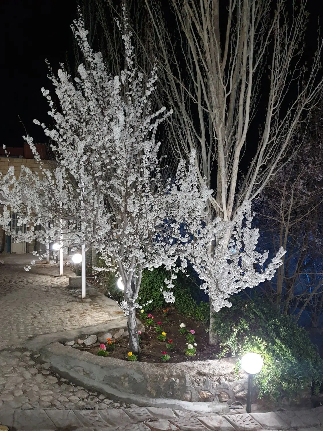 باغ دره شیر سانیج
