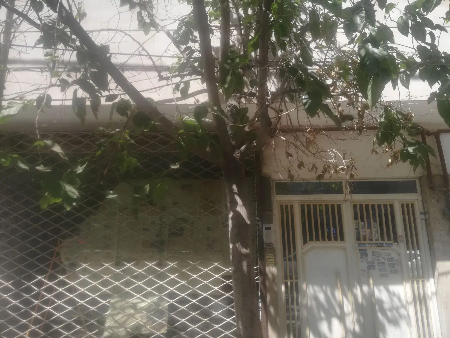 ویلایی و آپارتمان و مغازه