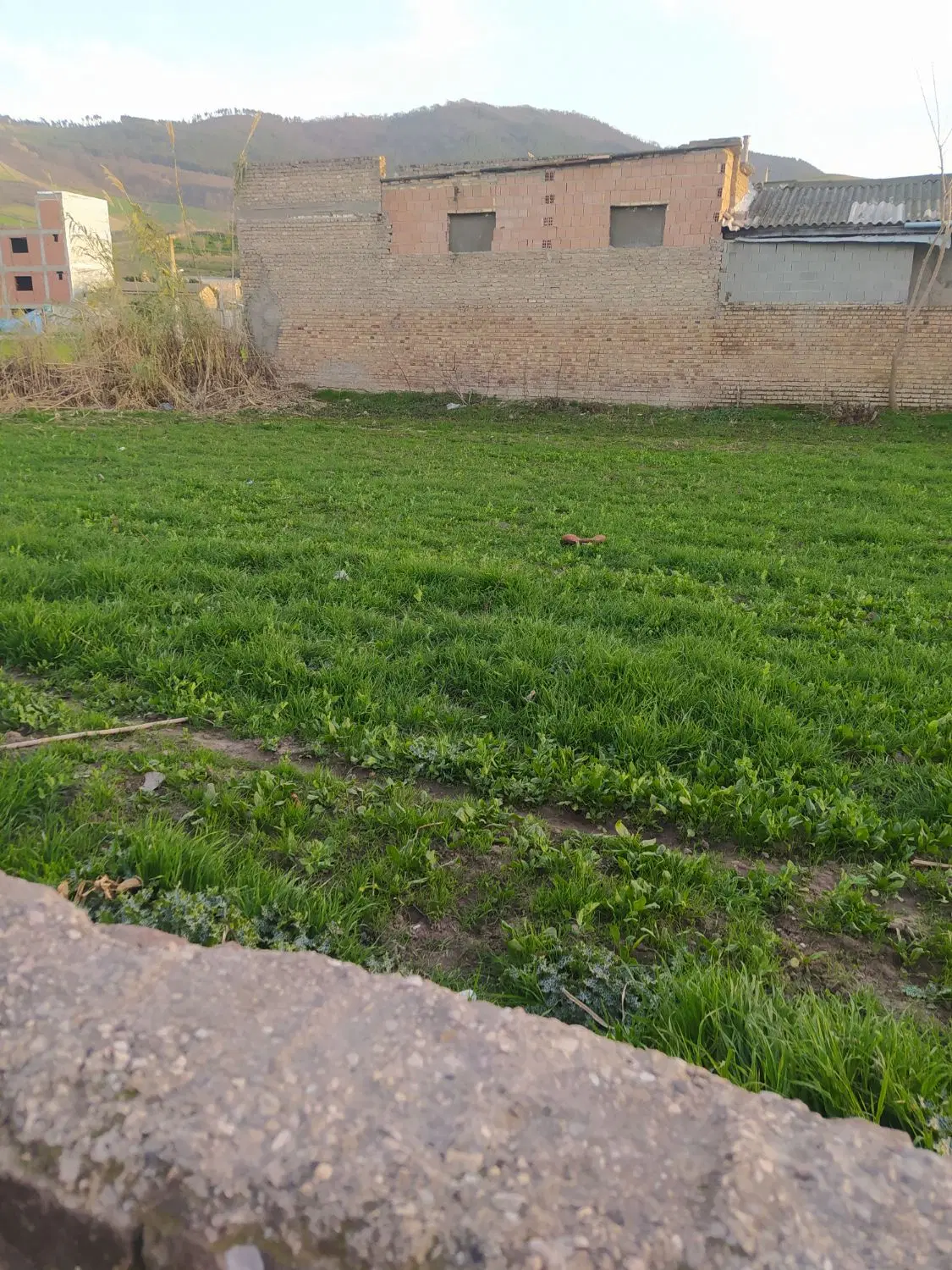 زمین مسکونی