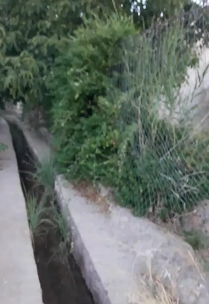 زمین