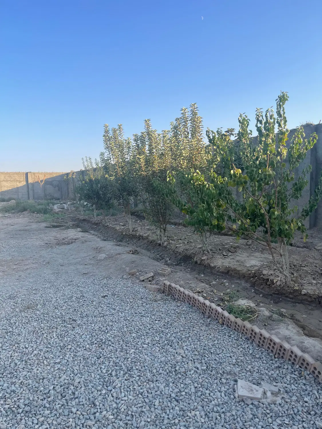 چهاردیواری ۸۵۰ متری باغستان دهشاد