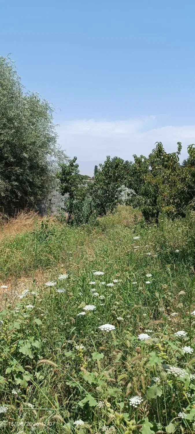 باغچه ۵۰۰متری بهرآسفالت .چهار دیواری.