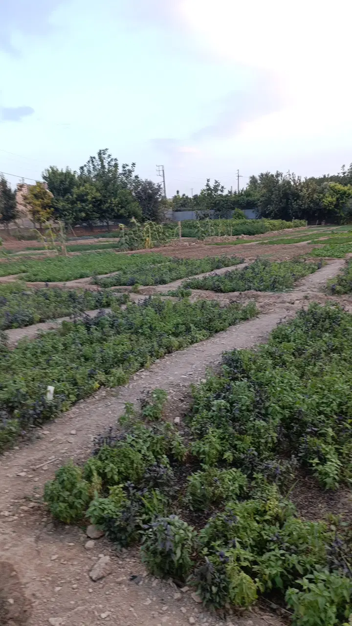 زمین مهران خیابان ارتش