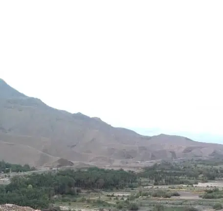 فروش یک قطعه زمین در کمب
