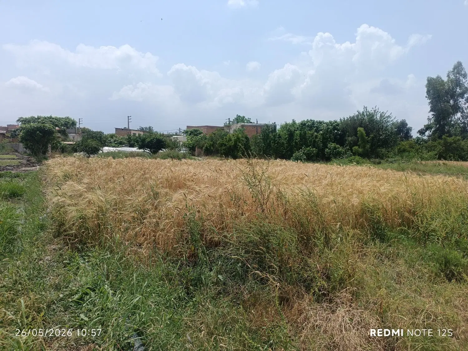 زمین 160متری
