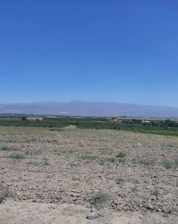 1500 متر زمین کشاورزی