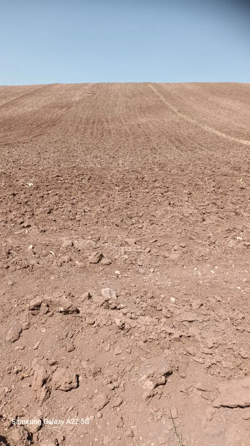 زمین زراعی سنددار