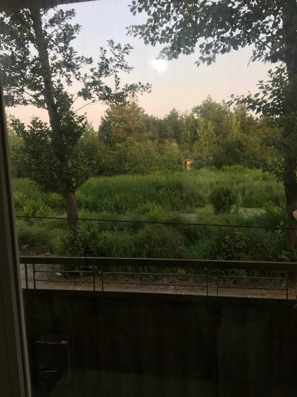زمین باغی
