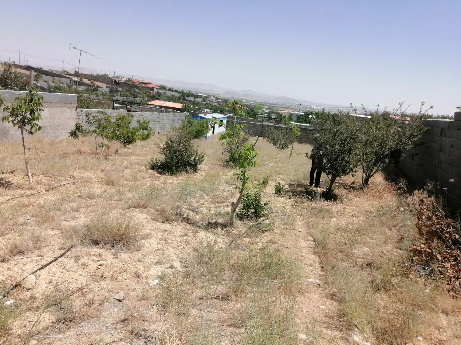 باغ 1000 متری سیاسرد (برق 3 فاز سهمیه آب چاه)