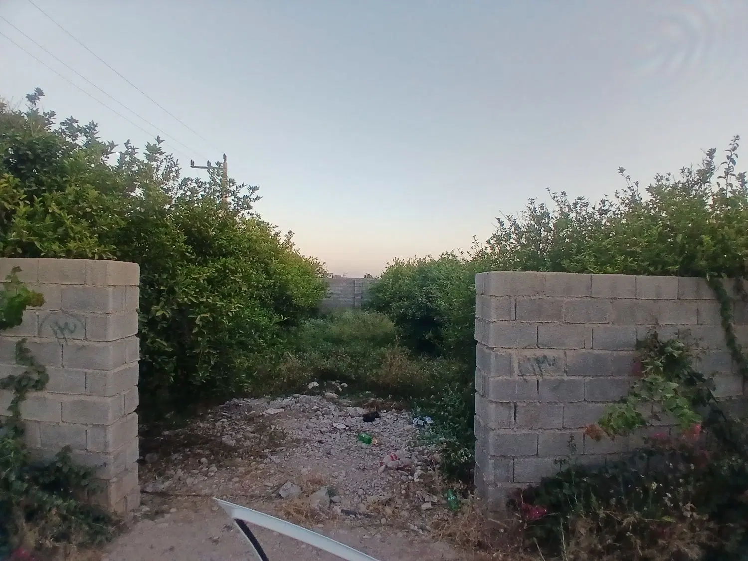 زمین باغ ۷۱۲متری دزفول
