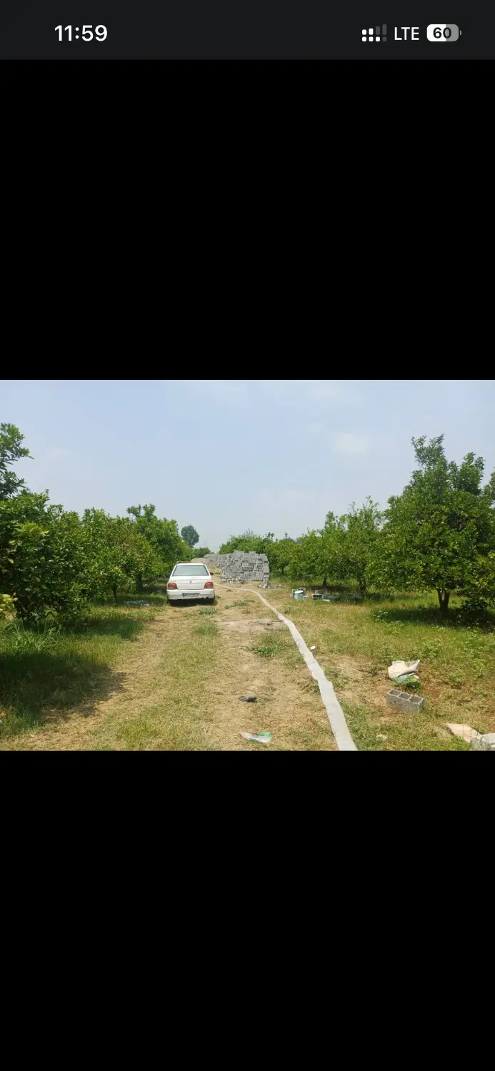 زمین روستایی باغی