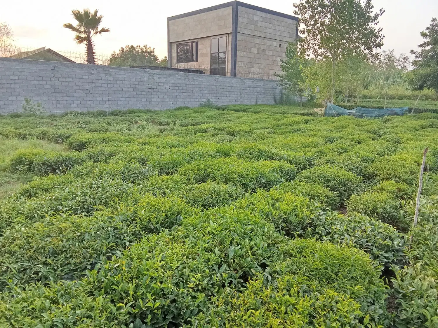 زمین مسکونی