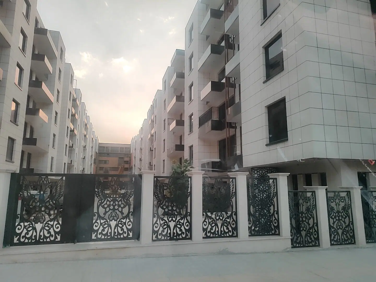 گل نرگس  بانک کشاورزی