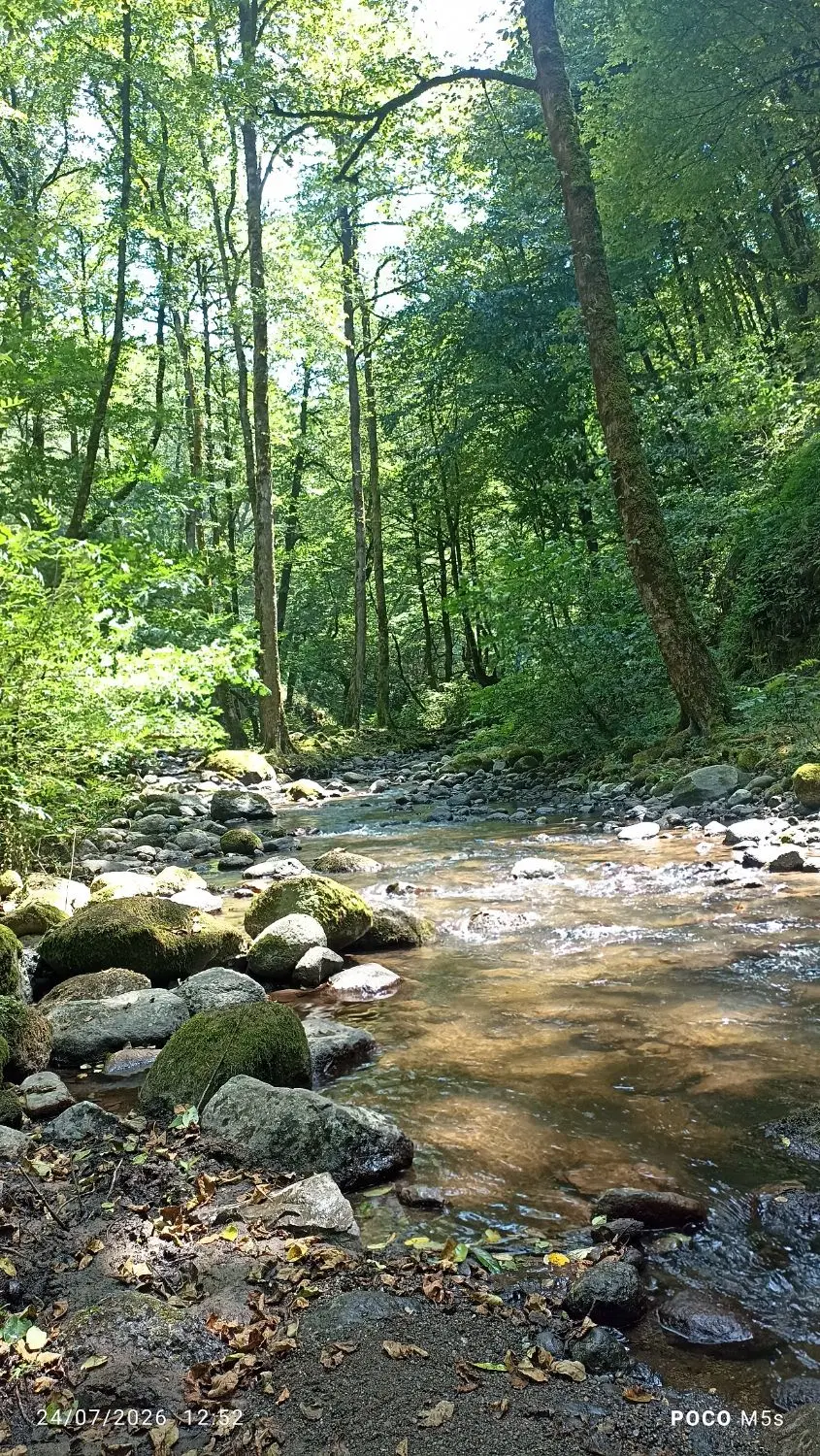 منزل ویلایی اجاره ای در نمین
