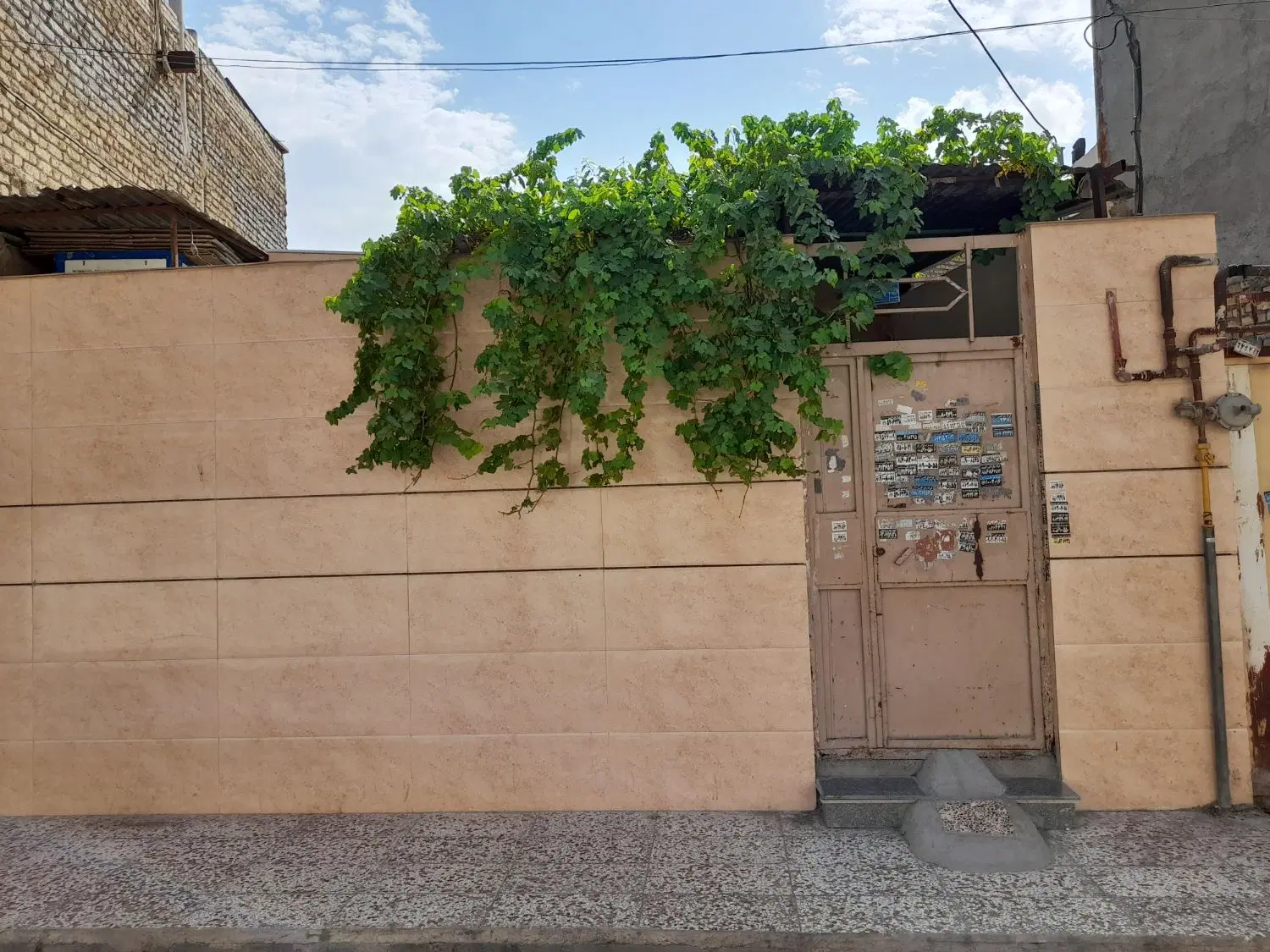 ملک فروشی