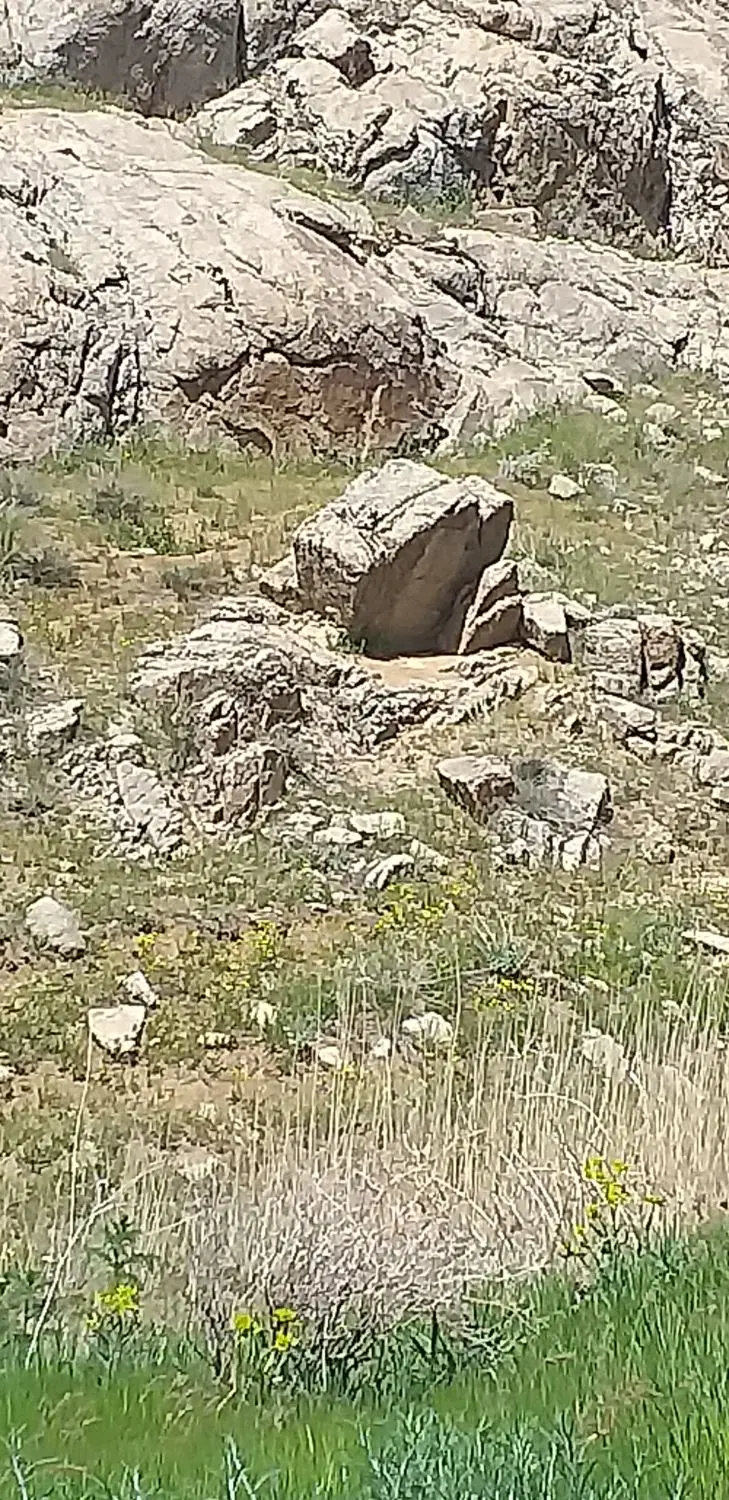 زمین مسکونی
